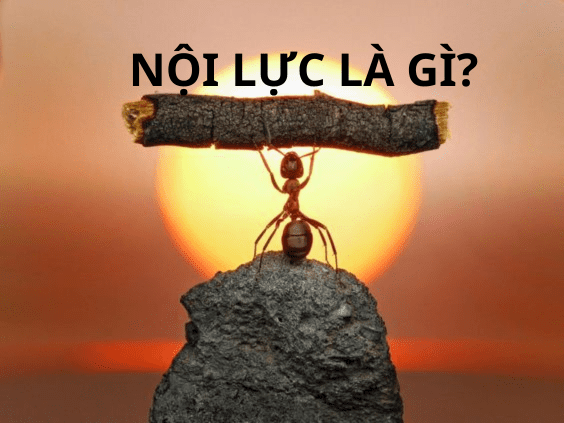 Nội lực là gì? kiểm tra nội lực